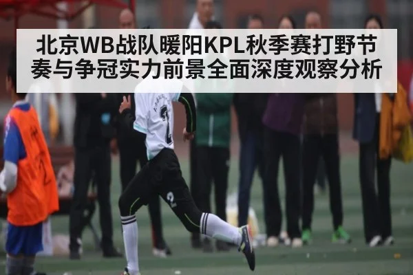 北京WB战队暖阳KPL秋季赛打野节奏与争冠实力前景全面深度观察分析